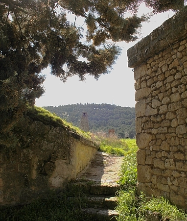 Le Cerrato : paysage, culture, patrimoine et vin Le Cerrato : paysage, culture, patrimoine et vin