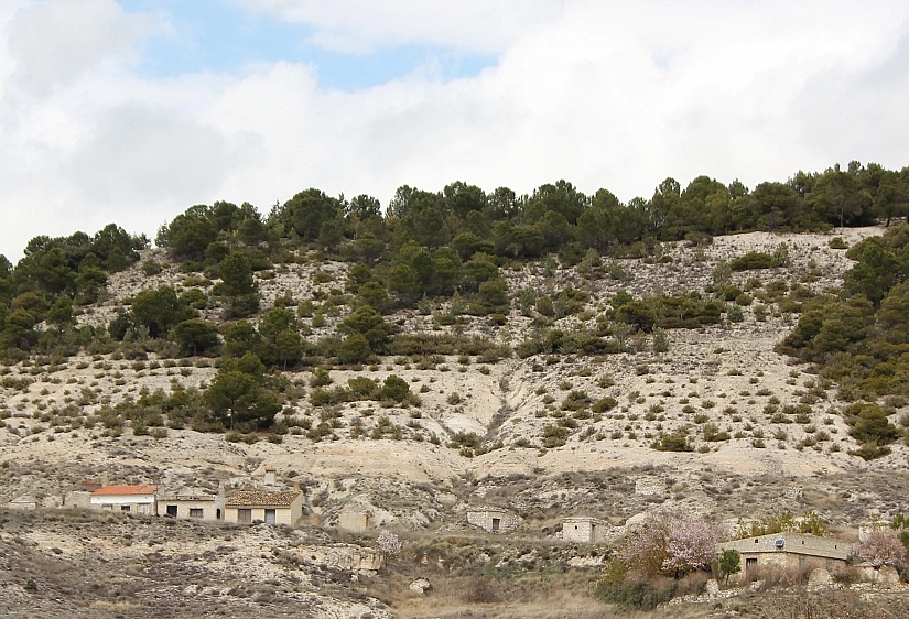 Le Cerrato : paysage, culture, patrimoine et vin Le Cerrato : paysage, culture, patrimoine et vin