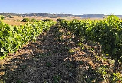 Plan de sostenibilidad turística en destino (PSTD). Plan de sostenibilidad turística en destino (PSTD).